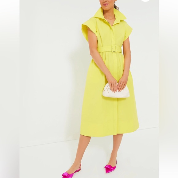 TUCKERNUCK Citron Chloe Dress SMALL - Picture 7 of 13
